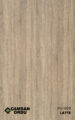FG-609 LATTE