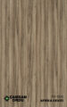FG-660 AFRİKA CEVİZİ