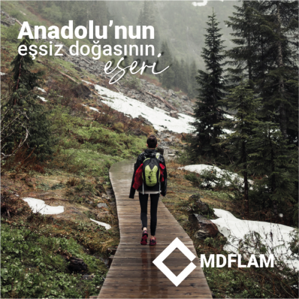 mdf2